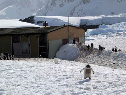 Наукові дослідження на станції &ldquo;Академік Вернадський&rdquo;