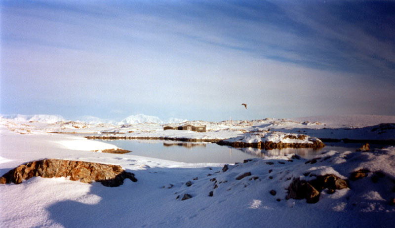 Значення українських наукових досліджень в Антарктиці